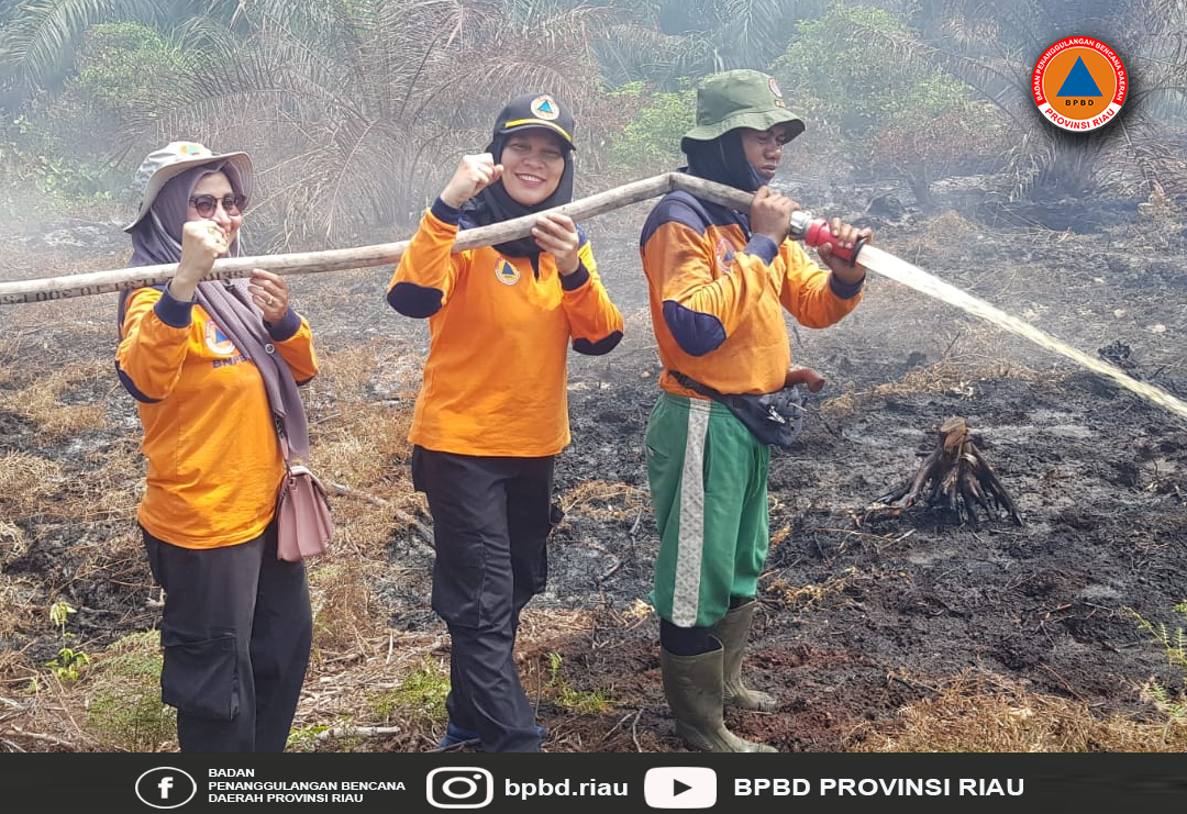 Sampai Hari Ini, 1.043 Hektare Hutan dan Lahan di Riau Terbakar