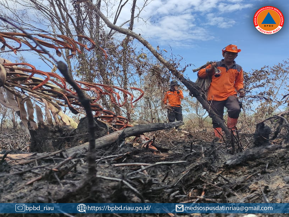 Padamkan Kebakaran Lahan BPBD Riau Kirim Tim dan Peralatan ke Bengkalis