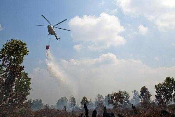 Potensi Karhutla Terjadi di Semua Daerah, Riau Ajukan Tambahan Helikopter Water Bombing