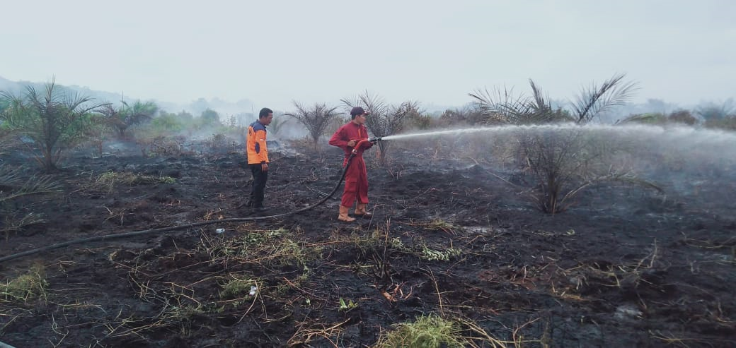 Meski Karhutla Aman, BPBD Riau Tetap Siagakan Heli dan Pesawat untuk Water Bombing