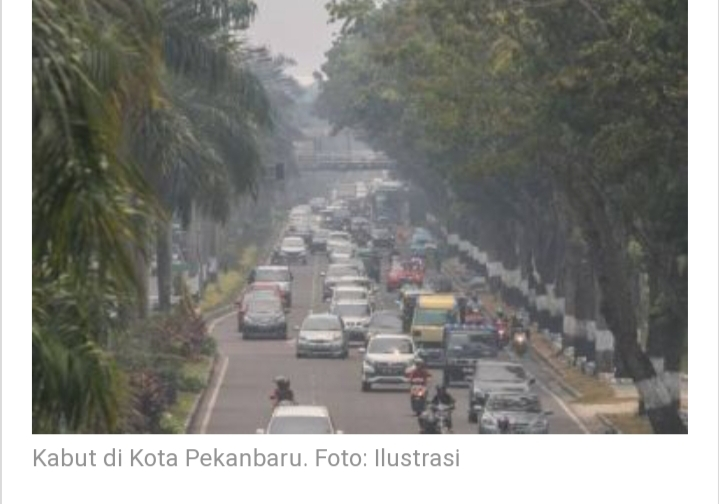 Kabut masih Selimuti Pekanbaru, BPBD Riau Pastikan Bukan Asap