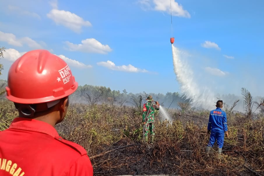 Terdeteksi 3 Karhutla di Riau, 2 Lokasi Berhasil Dipadamkan
