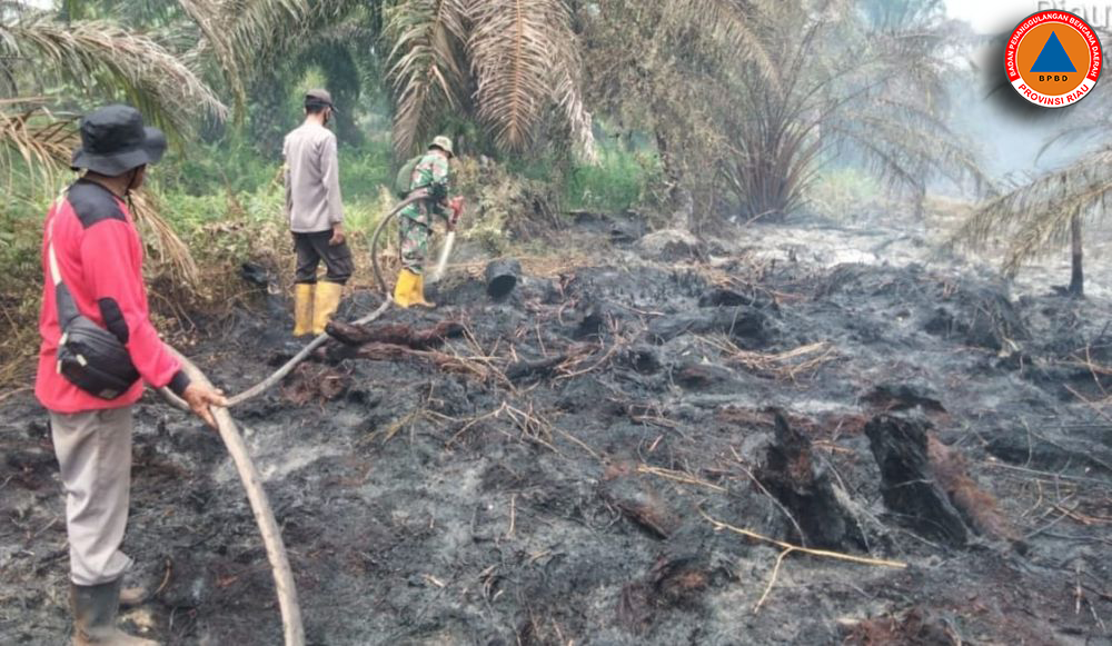 Kebakaran Lahan di Tiga Daerah, BPBD Riau Kerahkan Helikopter Water Boombing