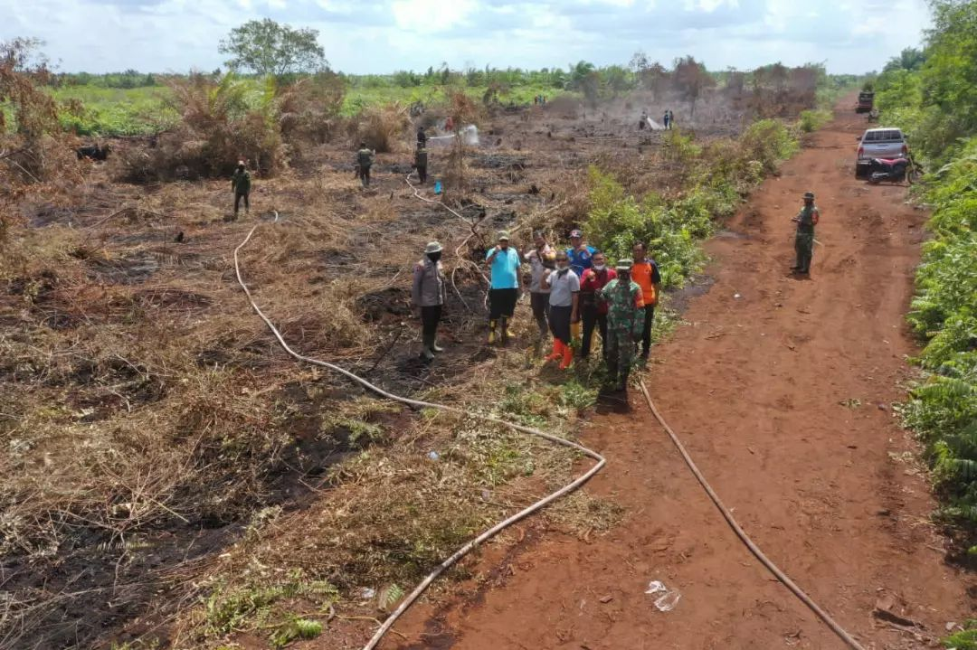  BPBD Provinsi Riau bersama Satgas Karhutla Kota Dumai melakukan Peninjauan ke Lokasi Kebakaran Huta